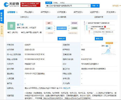 小米落子重慶，成立產(chǎn)融大數(shù)據(jù)公司，布局區(qū)塊鏈與數(shù)據(jù)處理服務(wù)